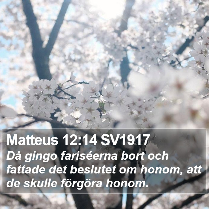 Matteus 12:14 SV1917 Bible Study