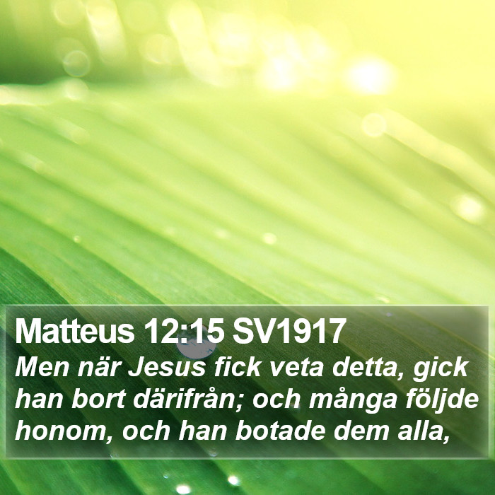 Matteus 12:15 SV1917 Bible Study