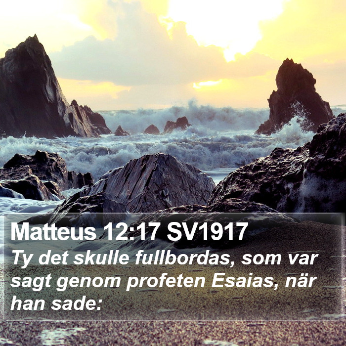 Matteus 12:17 SV1917 Bible Study
