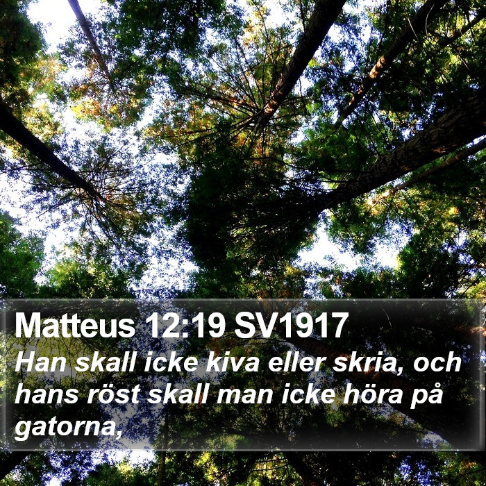 Matteus 12:19 SV1917 Bible Study