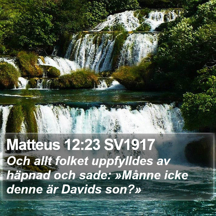 Matteus 12:23 SV1917 Bible Study
