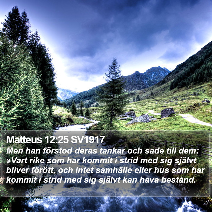 Matteus 12:25 SV1917 Bible Study