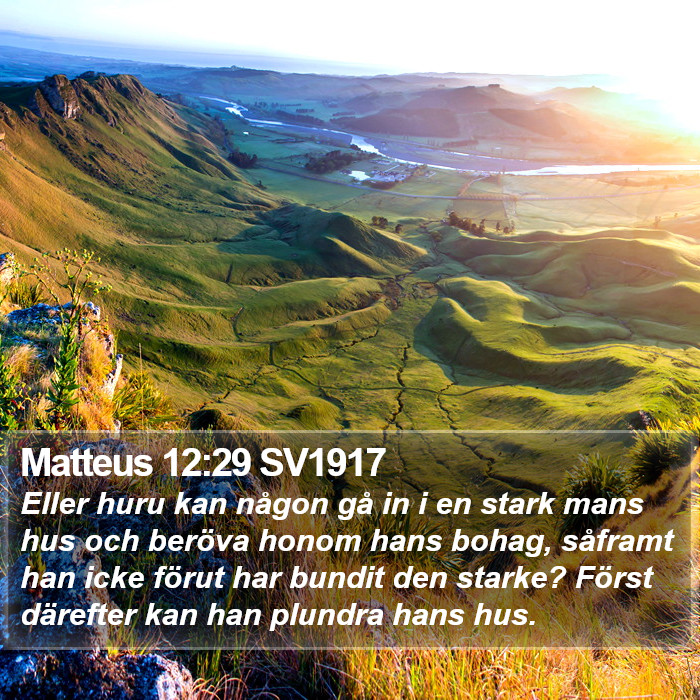 Matteus 12:29 SV1917 Bible Study