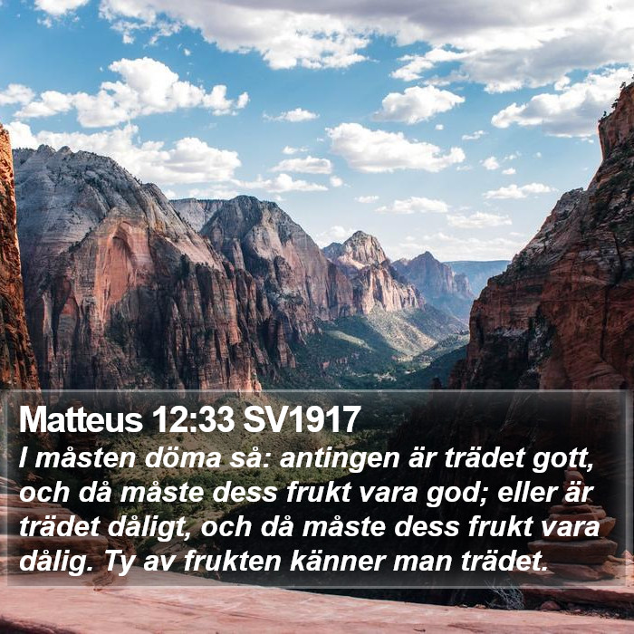Matteus 12:33 SV1917 Bible Study