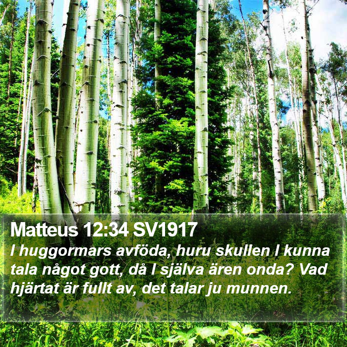 Matteus 12:34 SV1917 Bible Study