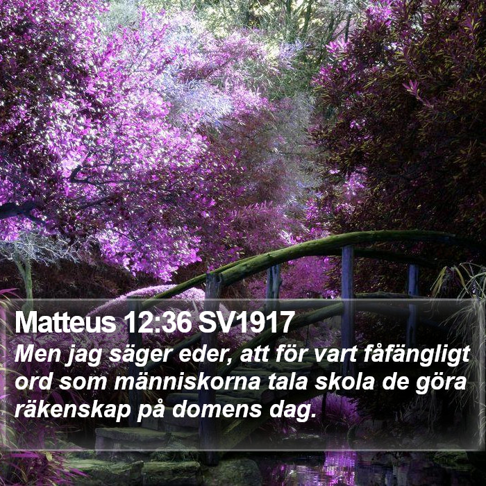 Matteus 12:36 SV1917 Bible Study