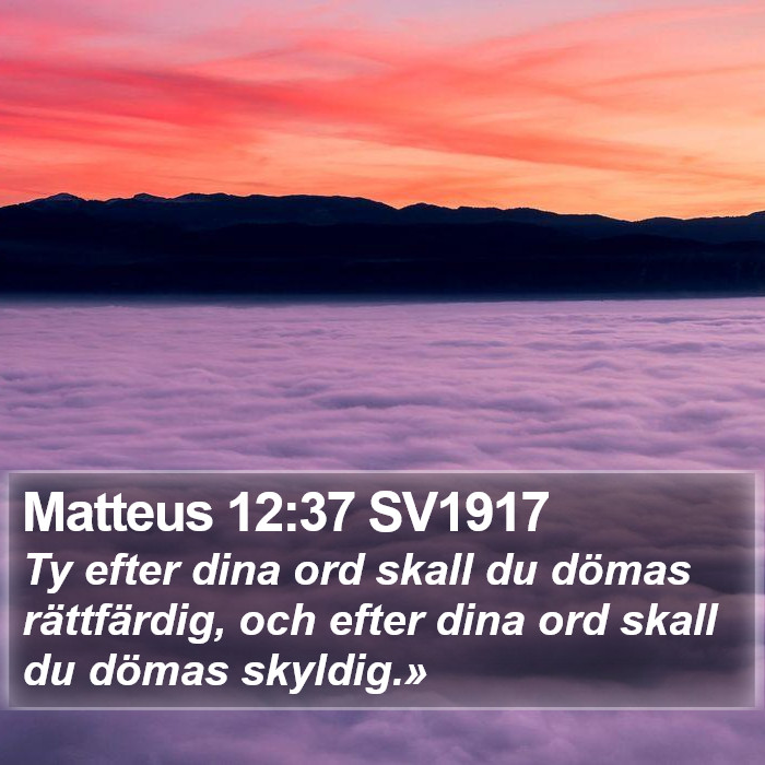 Matteus 12:37 SV1917 Bible Study