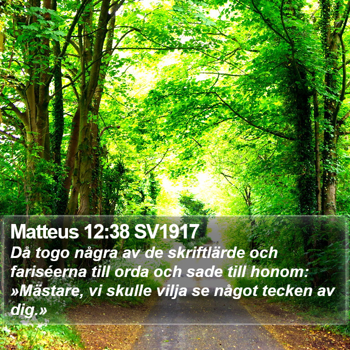 Matteus 12:38 SV1917 Bible Study