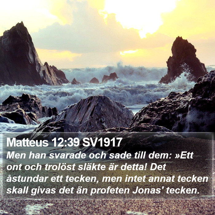 Matteus 12:39 SV1917 Bible Study
