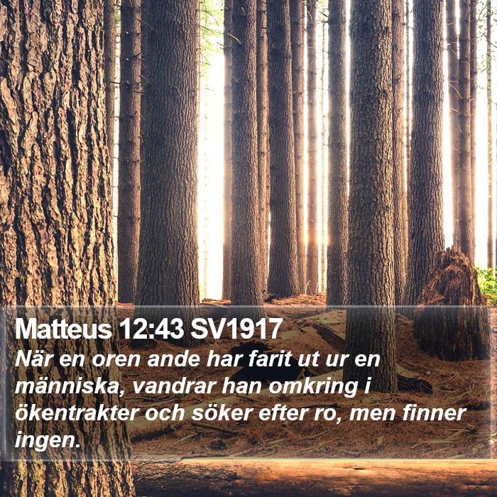 Matteus 12:43 SV1917 Bible Study
