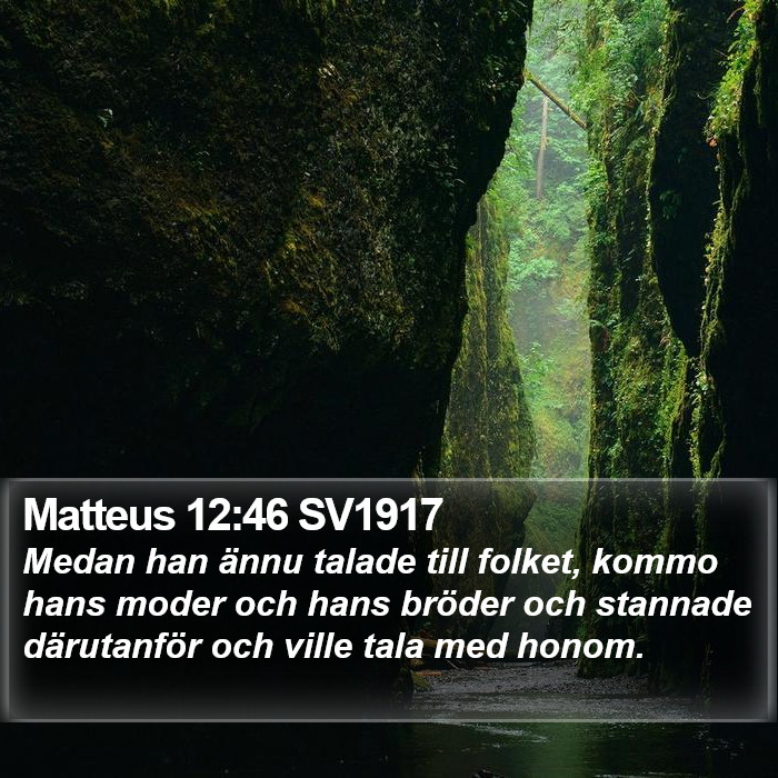 Matteus 12:46 SV1917 Bible Study