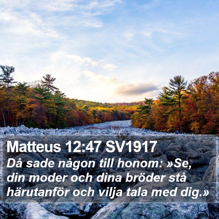 Matteus 12:47 SV1917 Bible Study