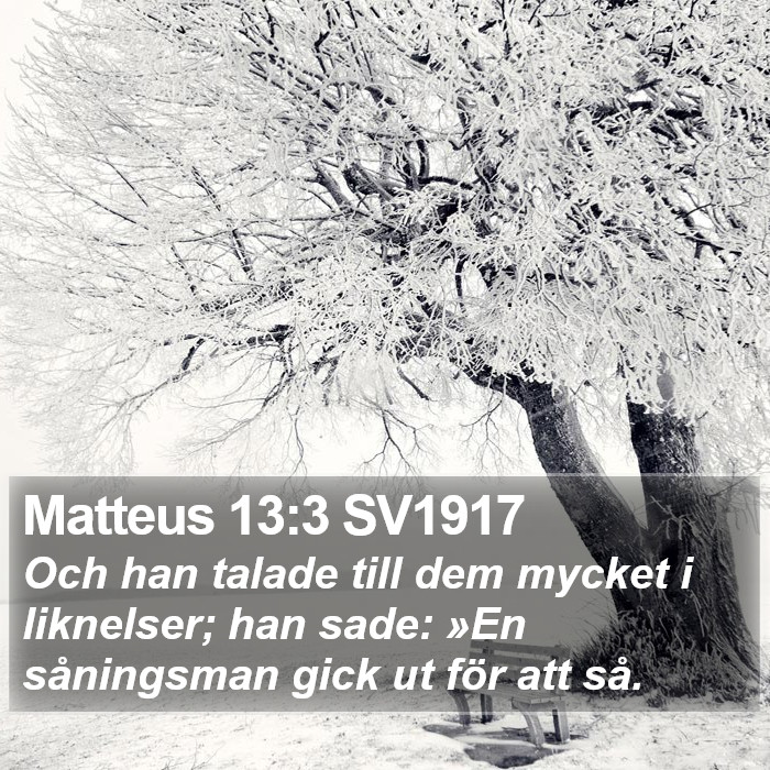 Matteus 13:3 SV1917 Bible Study