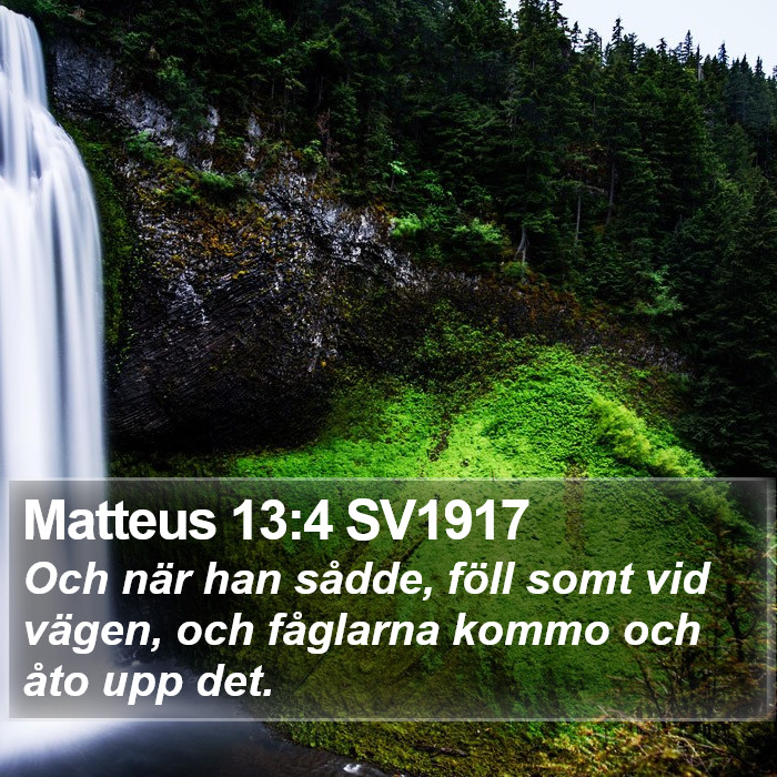Matteus 13:4 SV1917 Bible Study