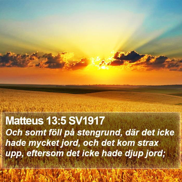 Matteus 13:5 SV1917 Bible Study