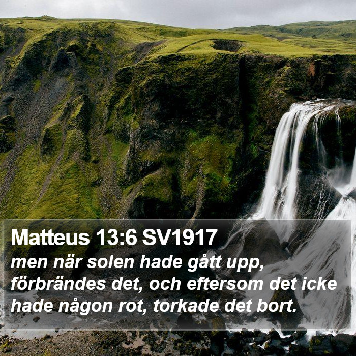 Matteus 13:6 SV1917 Bible Study
