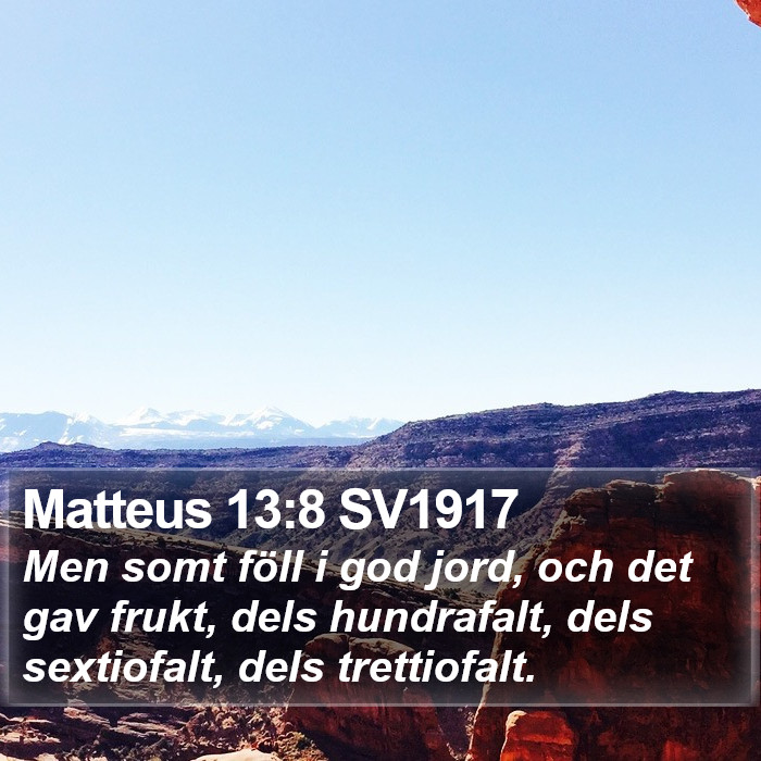 Matteus 13:8 SV1917 Bible Study