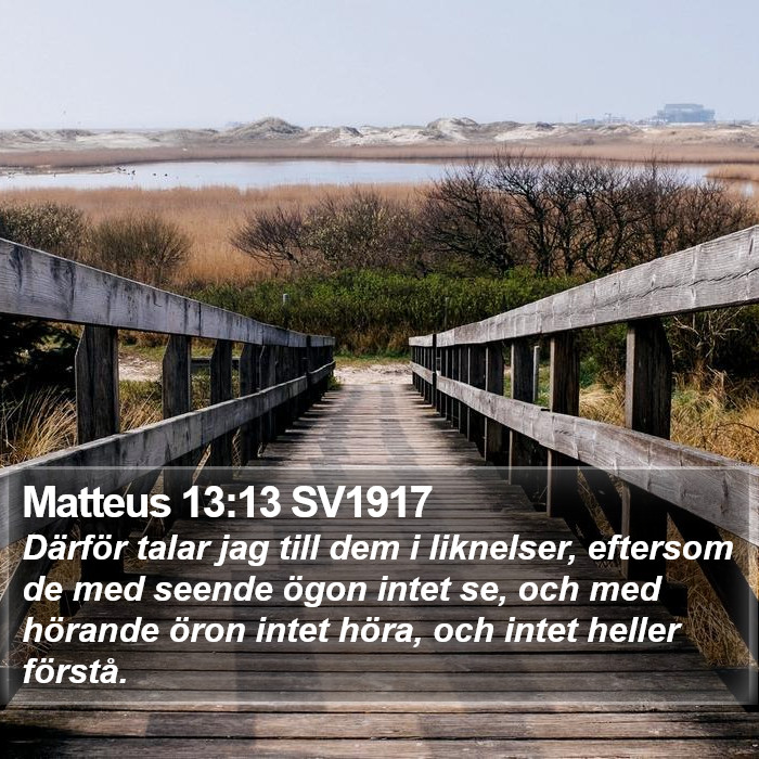 Matteus 13:13 SV1917 Bible Study