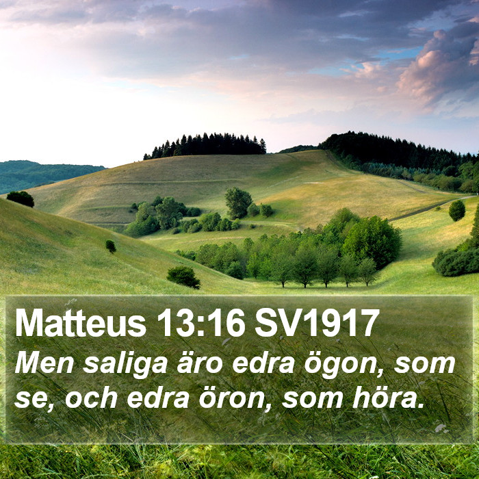 Matteus 13:16 SV1917 Bible Study