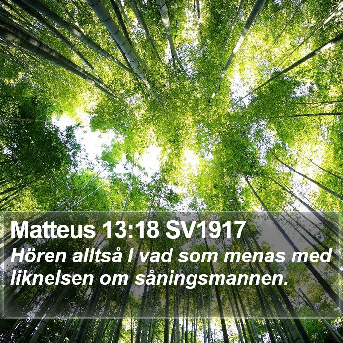Matteus 13:18 SV1917 Bible Study