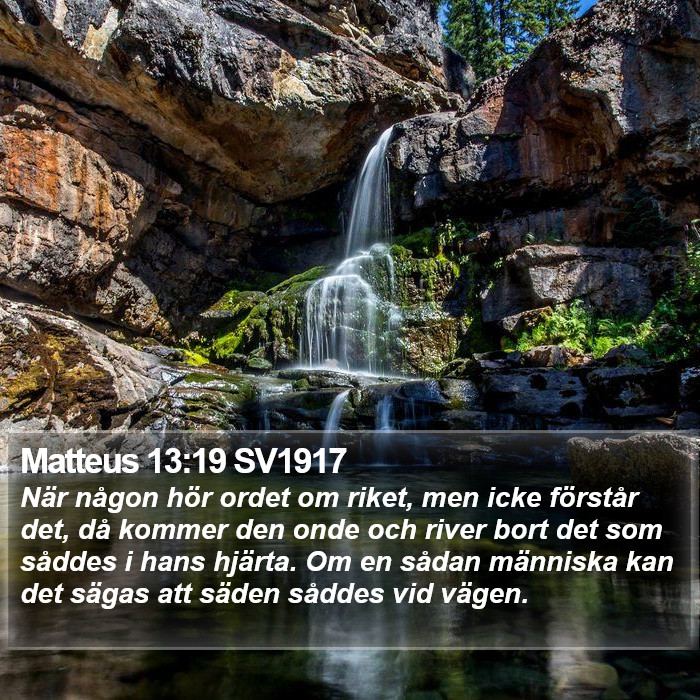 Matteus 13:19 SV1917 Bible Study