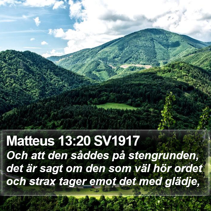 Matteus 13:20 SV1917 Bible Study
