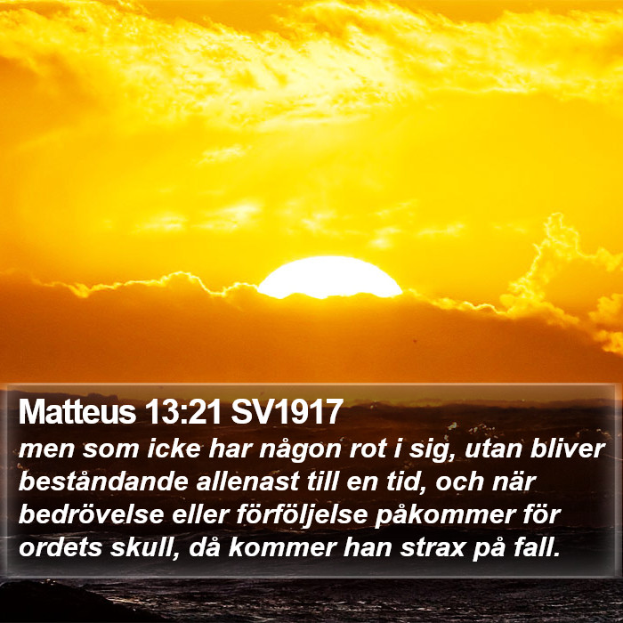 Matteus 13:21 SV1917 Bible Study