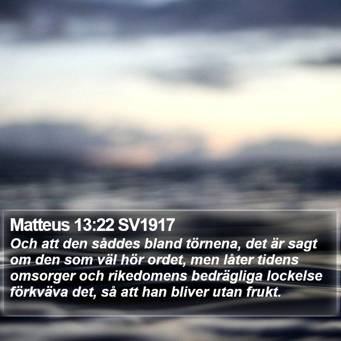Matteus 13:22 SV1917 Bible Study