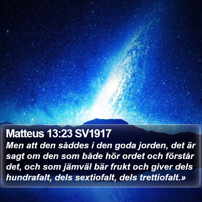 Matteus 13:23 SV1917 Bible Study