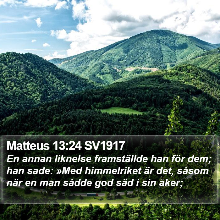 Matteus 13:24 SV1917 Bible Study