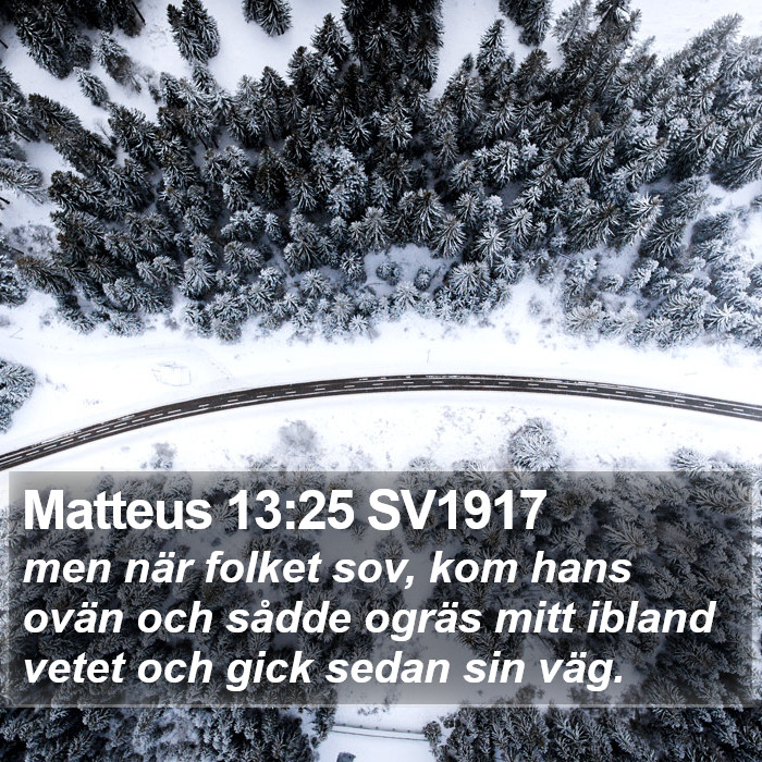 Matteus 13:25 SV1917 Bible Study
