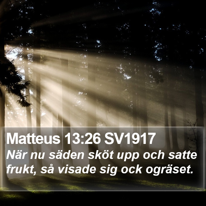 Matteus 13:26 SV1917 Bible Study