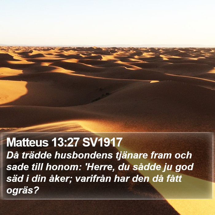 Matteus 13:27 SV1917 Bible Study