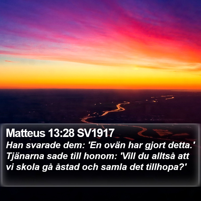 Matteus 13:28 SV1917 Bible Study