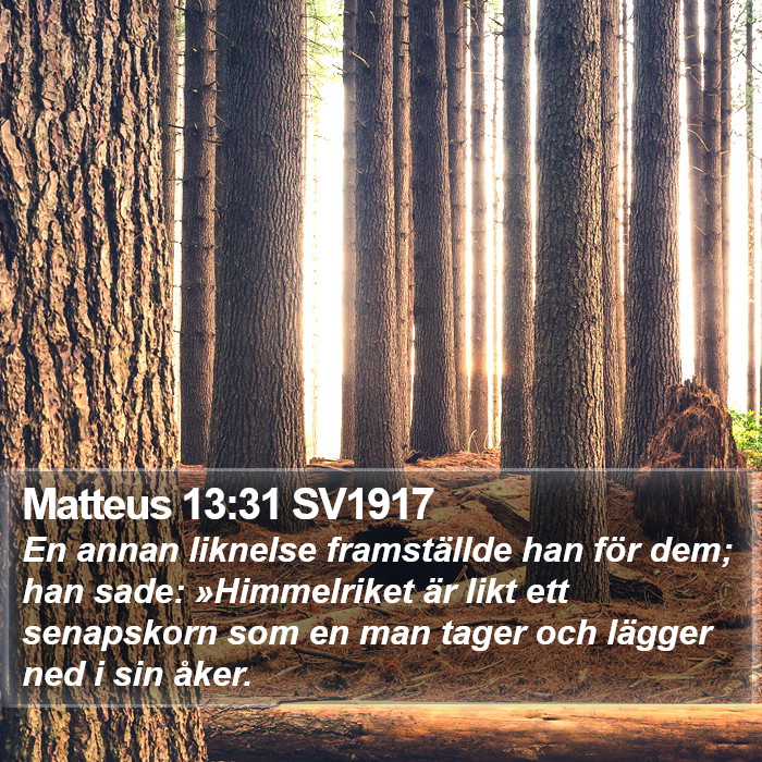 Matteus 13:31 SV1917 Bible Study