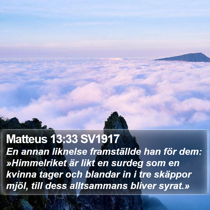 Matteus 13:33 SV1917 Bible Study