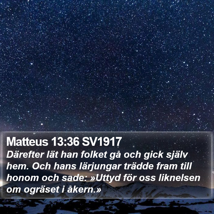 Matteus 13:36 SV1917 Bible Study