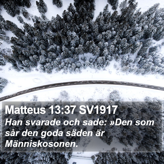 Matteus 13:37 SV1917 Bible Study