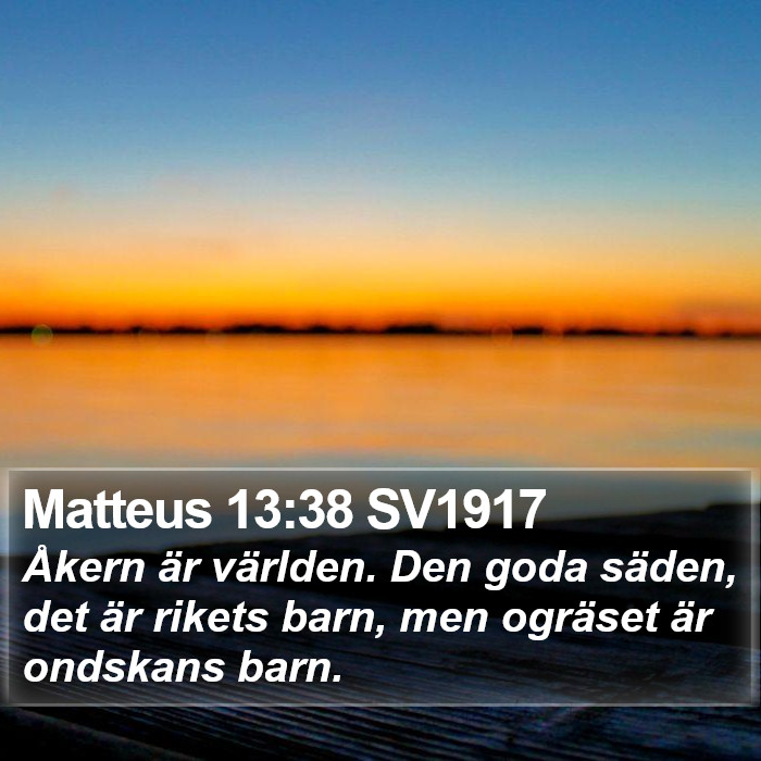 Matteus 13:38 SV1917 Bible Study