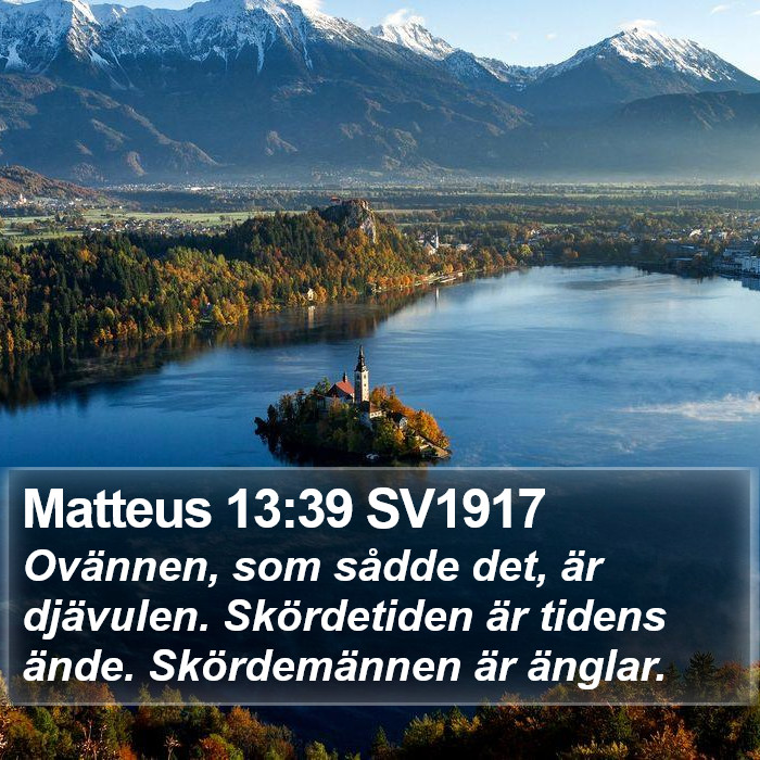 Matteus 13:39 SV1917 Bible Study