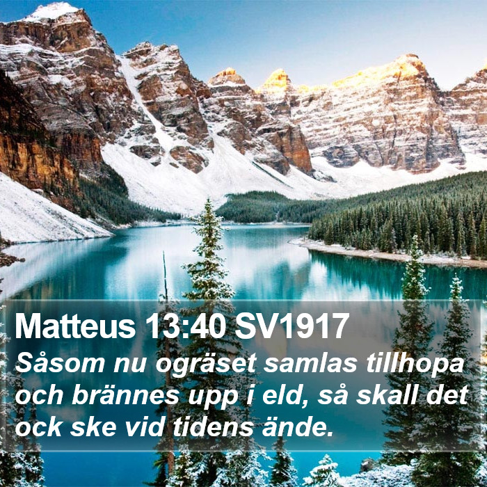 Matteus 13:40 SV1917 Bible Study