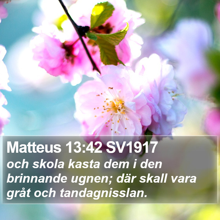 Matteus 13:42 SV1917 Bible Study