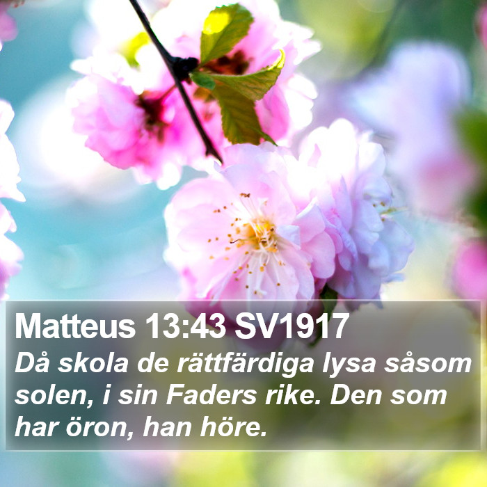 Matteus 13:43 SV1917 Bible Study