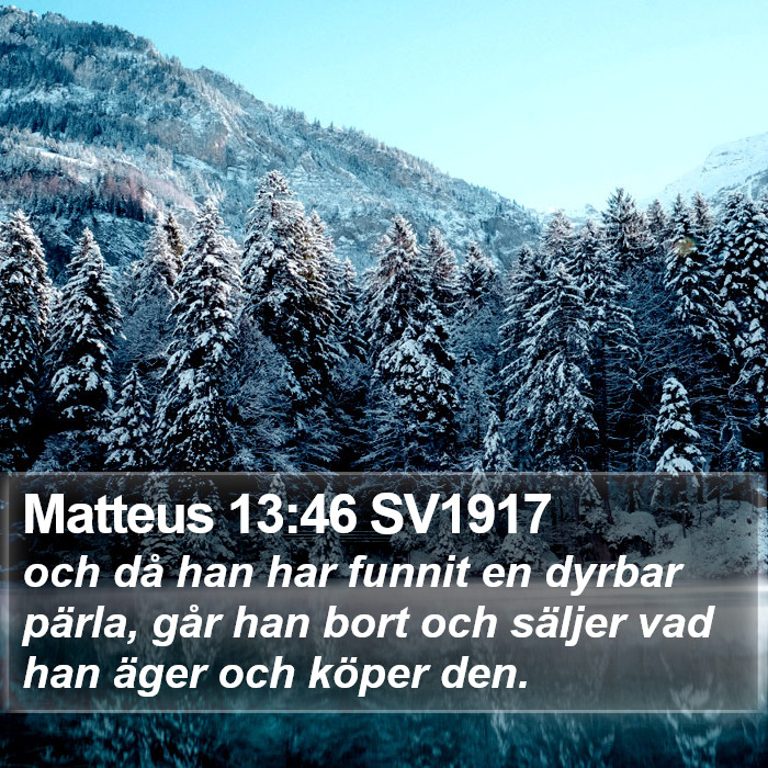 Matteus 13:46 SV1917 Bible Study