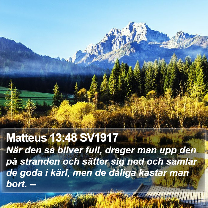 Matteus 13:48 SV1917 Bible Study