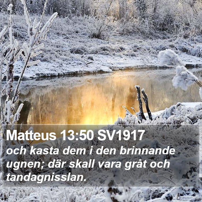 Matteus 13:50 SV1917 Bible Study