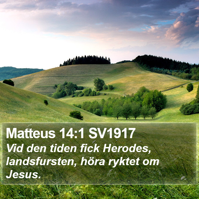Matteus 14:1 SV1917 Bible Study