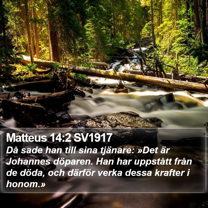 Matteus 14:2 SV1917 Bible Study