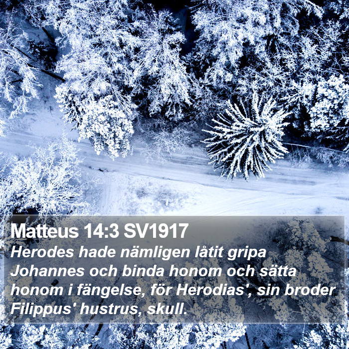 Matteus 14:3 SV1917 Bible Study