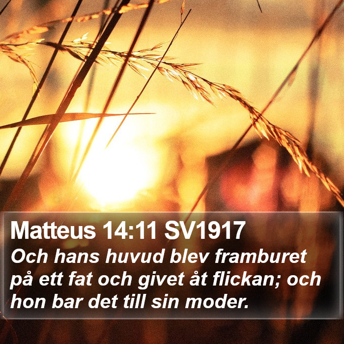 Matteus 14:11 SV1917 Bible Study